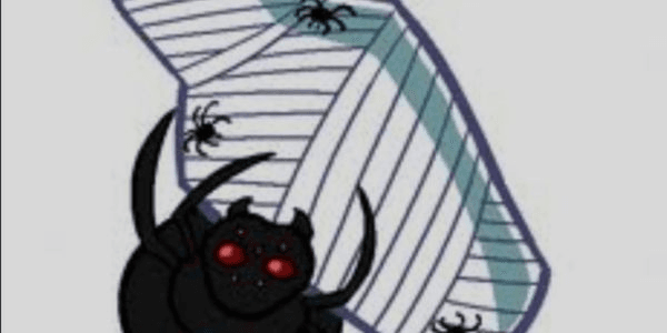 Gambar Product Spiders