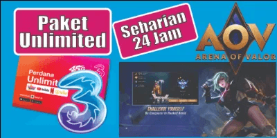 Unlimited Arena Of Valor (24 Jam)
