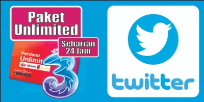 Unlimited Twitter (24 Jam)
