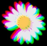 seller-image