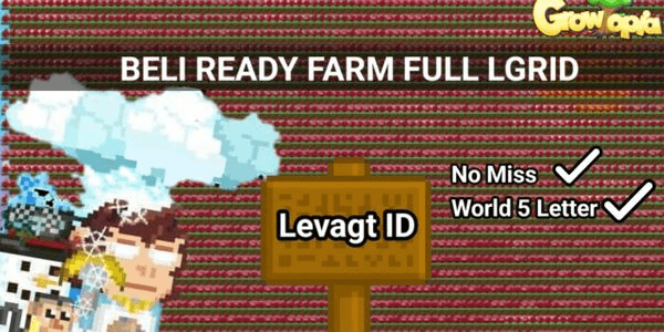 Gambar Product Laser Grid Farm Full ( Ready Harvest )