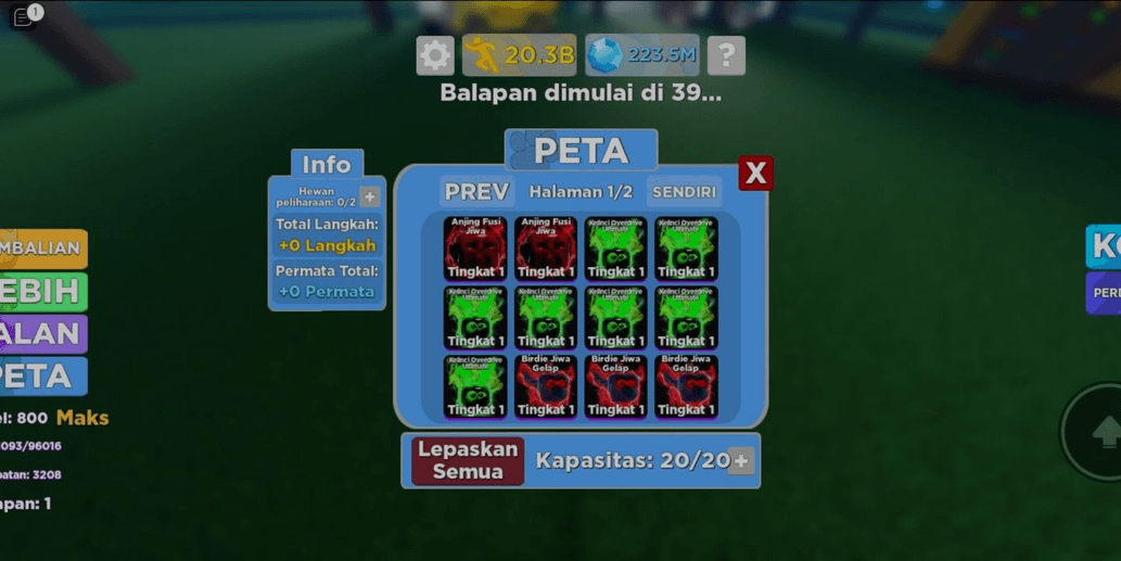 Product Showcase