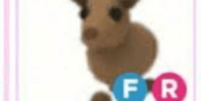 product-image-0