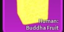 Gambar Product Human: Buddha (Beast)