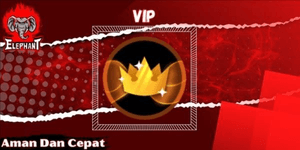 VIP