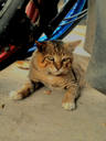 seller-image