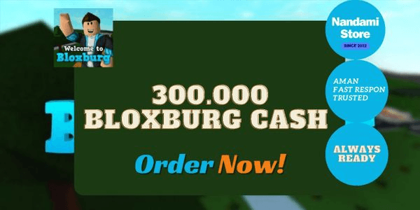 Gambar Product Bloxburg Cash 300.000