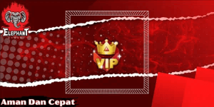 VIP