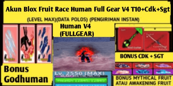 Gambar Product Blox Fruit Account CDK + SGT + Human Full Gear V4 T10(LevelMax)