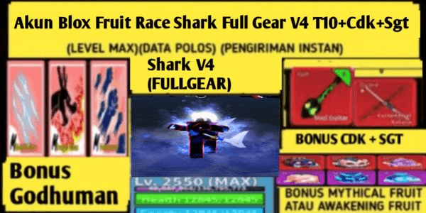 Gambar Product Blox Fruit CDK + SGT + Shark Full Gear V4 T10 (LevelMax) Account