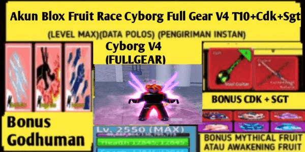 Gambar Product Blox Fruit Account CDK + SGT + Cyborg Full Gear V4 T10 (LevelMax)