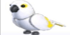 product-image-0