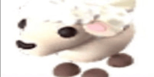 product-image-0