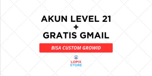 LEVEL 21 ACCOUNT + FREE EMAIL