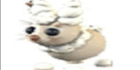 product-image-0
