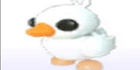 product-image-0