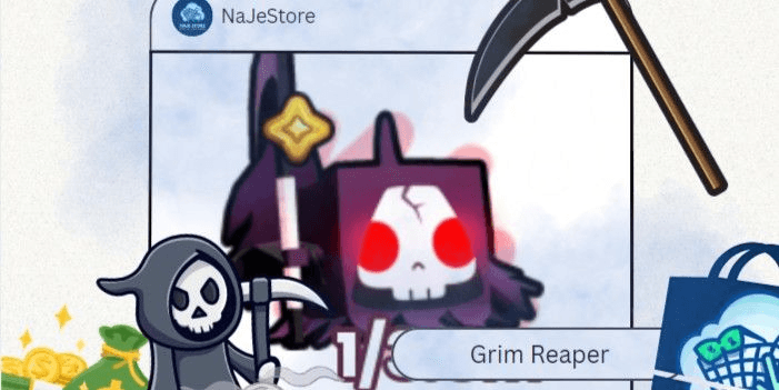 Product Showcase