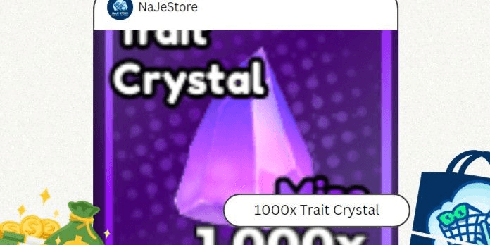 Product Showcase