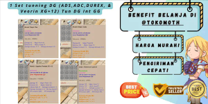 1 Set DG Tuning (ADS,ADC,DUREX, & Veorin XG+12) Tun DG Int GG