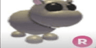 product-image-0