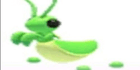 product-image-0