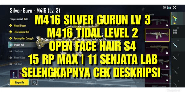 Gambar Product PUBG SULTAN M416 SILVER GURUN LEVEL 3 | M416 TIDAL | 15 RP MAX