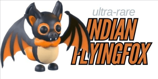 Gambar Product indian flying fox adopt me