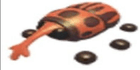 product-image-0