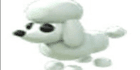 product-image-0