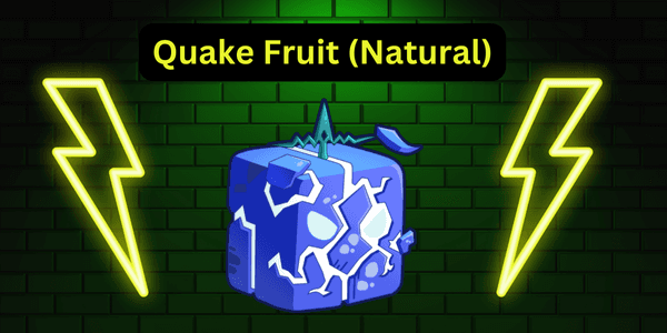 Product Showcase