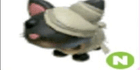 product-image-0