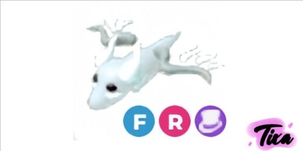 product-image-0