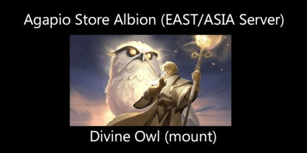 Gambar Product Divine Owl