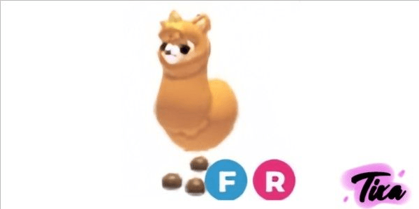 product-image-0