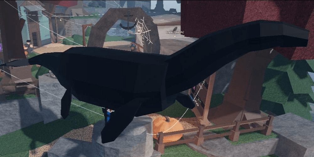 Product Showcase