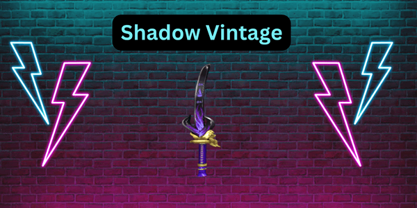 Product Showcase