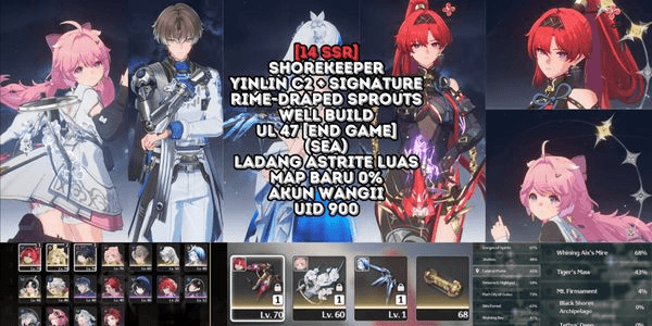 Gambar Product [14 SSR] YINLIN C2 SIGNATURE + SHOREKEEPER + XIANGLI + ENCORE C1 + VERINA + CALCHARO + JIANXIN + LINGYANG + RIME DRAPED + COSMIC RIPPLES [SEA] #196