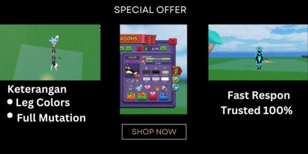 Product Showcase
