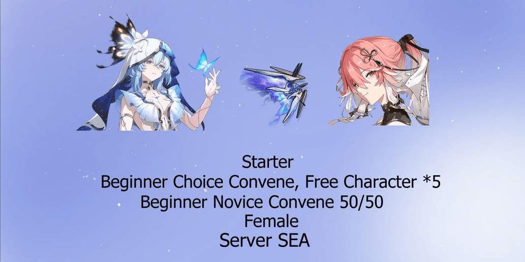 Product Showcase