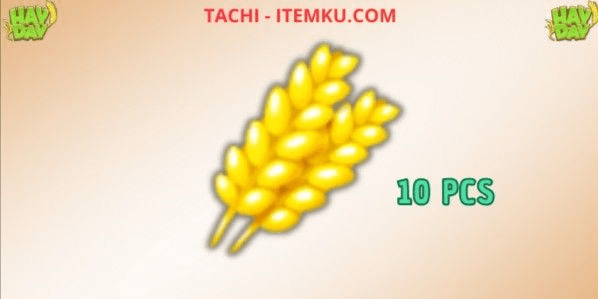 Gambar Product Wheat