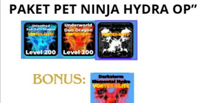 paket pet ninja legends hydra over power limited !!
