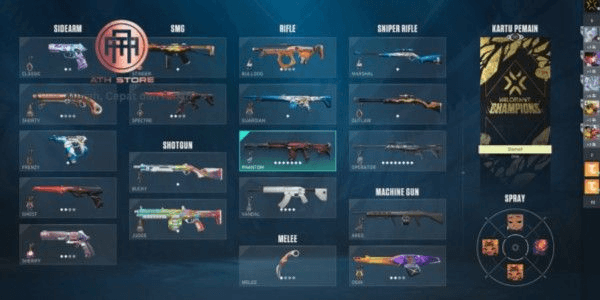 Product Showcase
