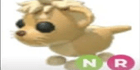 product-image-0