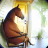 seller-image