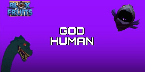 Gambar Product Fighting Style - Godhuman