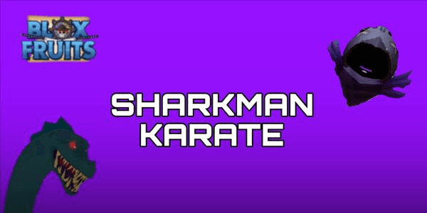 Gambar Product Fighting Style - Sharkman Karate