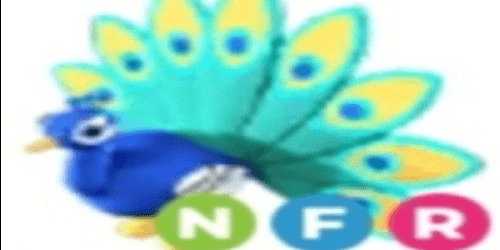 product-image-0