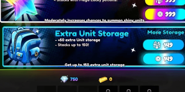 Extra Unit Storage
