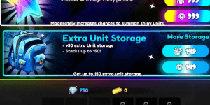 Extra Unit Storage