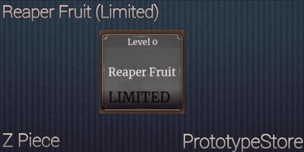 Product Showcase